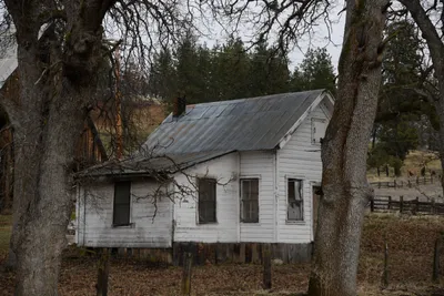 DSC_5858 (Large).JPG